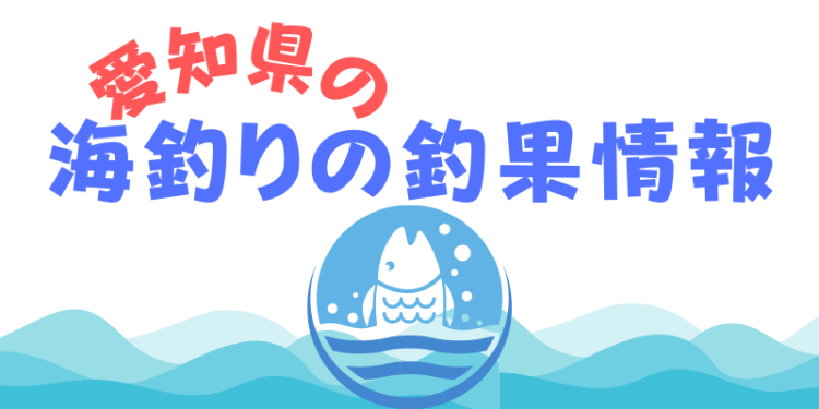 cook 今日なに作ろ？